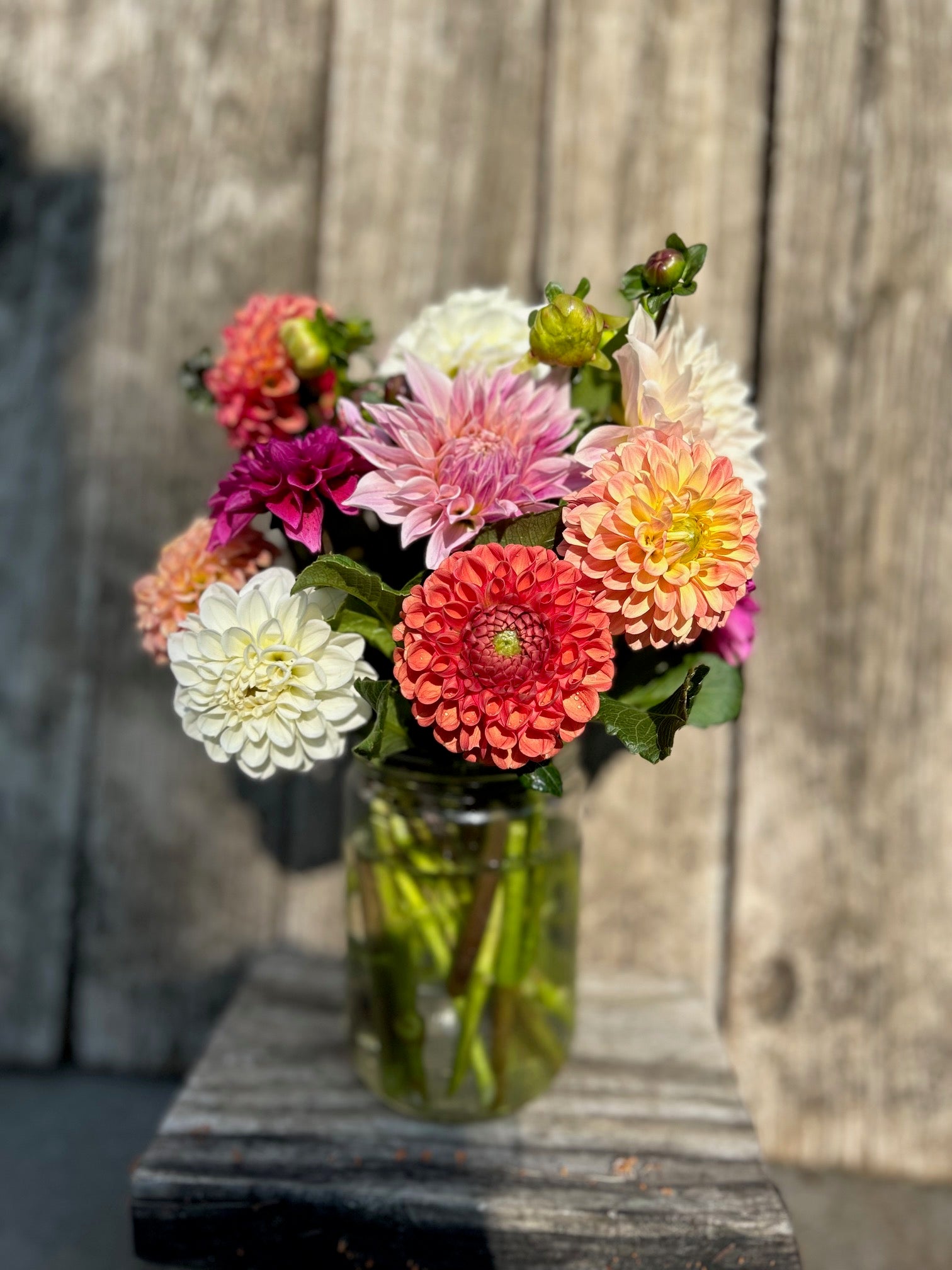 Mason Jar Arrangement
