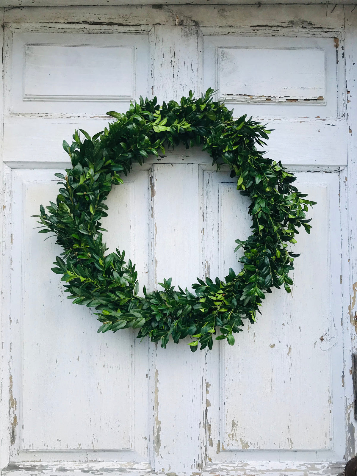 Fresh Greens Wreaths