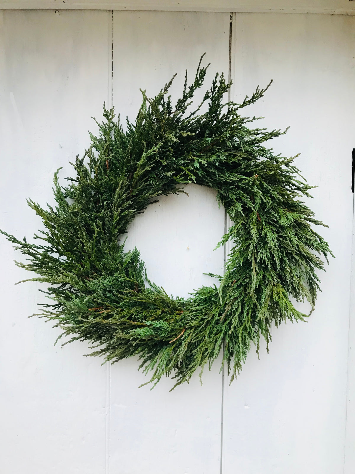Fresh Greens Wreaths