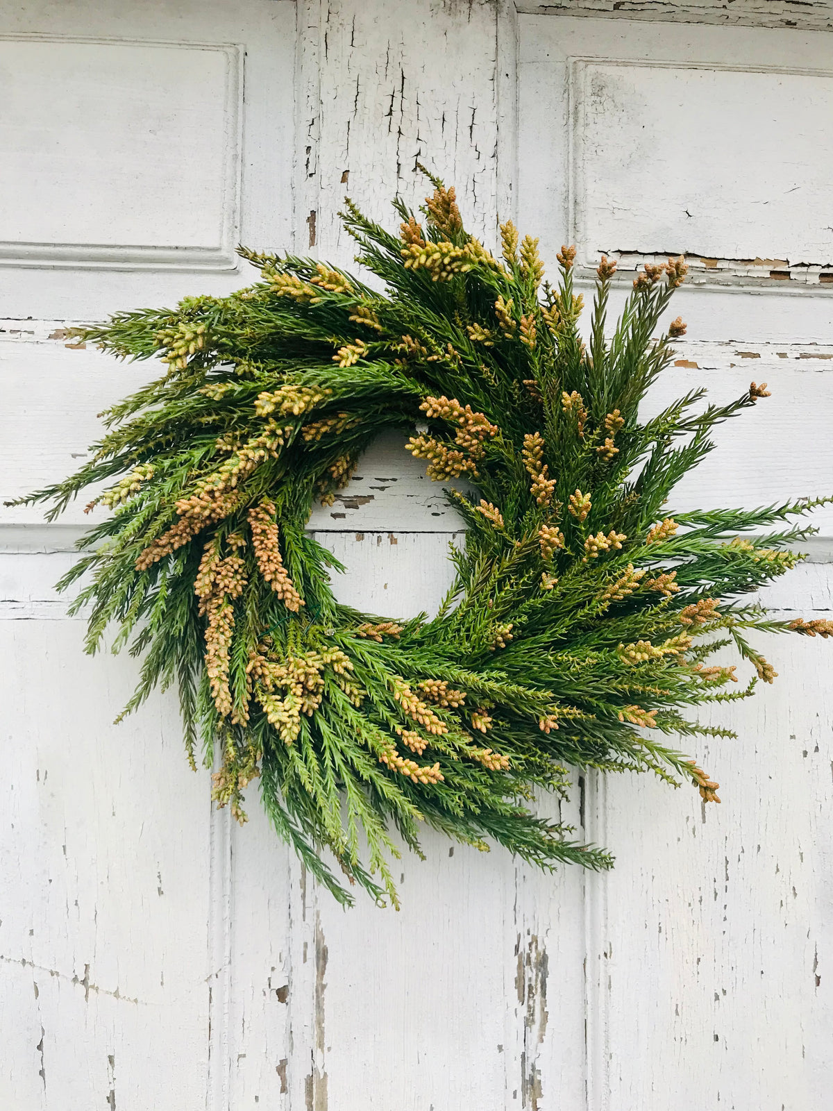 Fresh Greens Wreaths